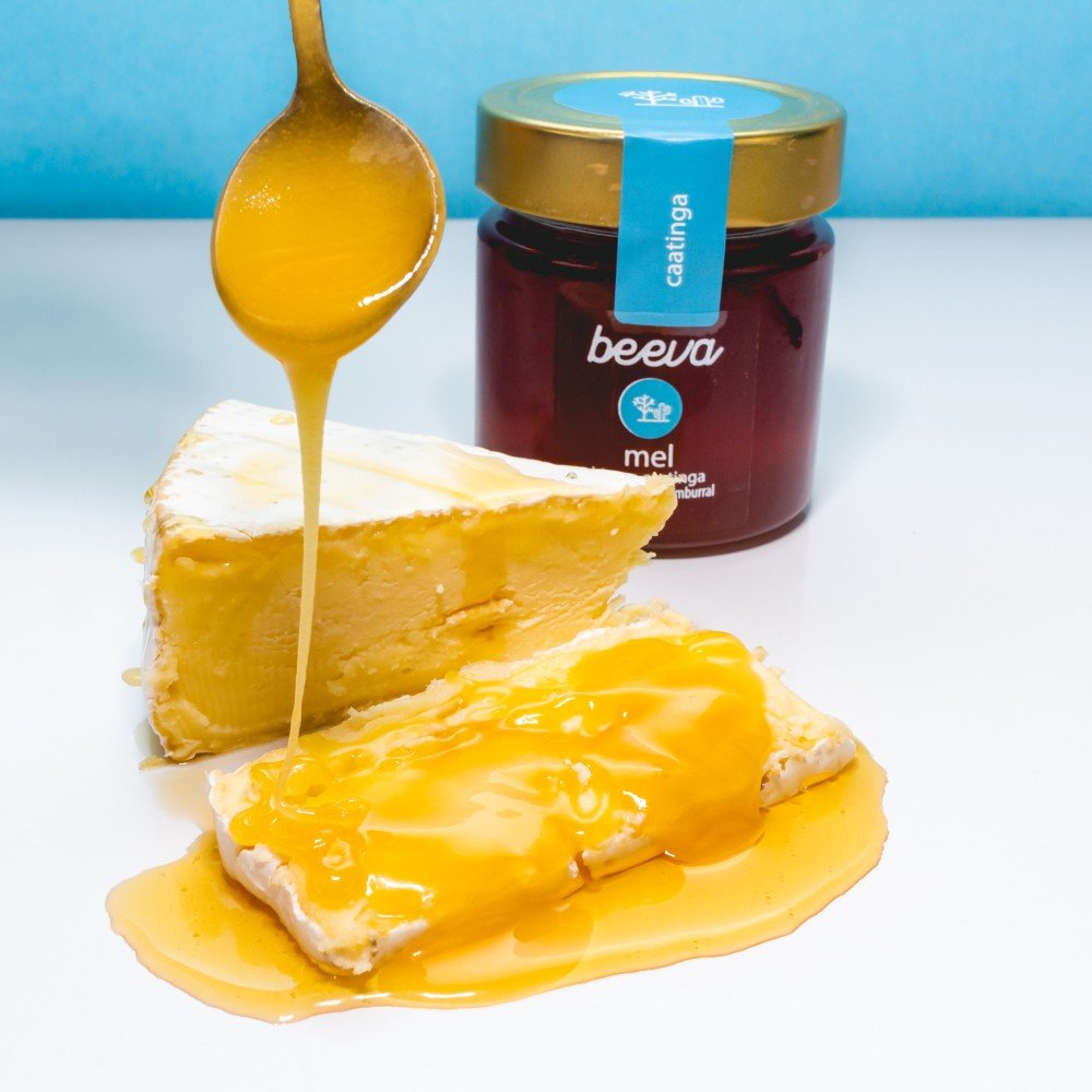 Meu mel cristalizou! E agora?