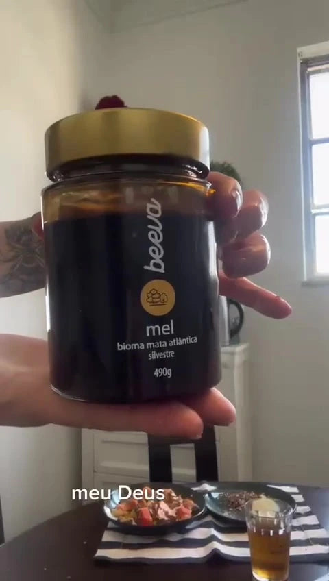 Mel Mata Atlântica Silvestre Bisnaga